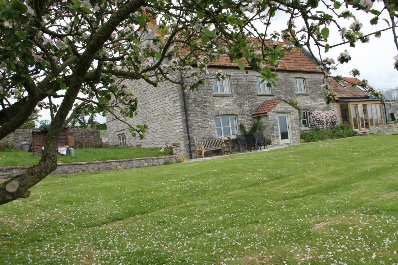 Castle Farm Bed and Breakfast Wedmore Exterior foto